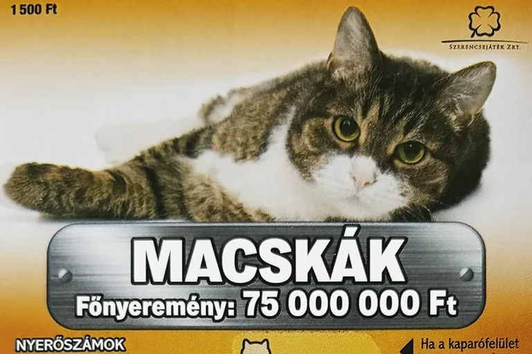 Macskák sorsjegy, 1500 forintos kaparós sorsjegy macskás dizájnnal és 75 millió forintos főnyereménnyel